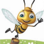 Les abeilles de Lecelles