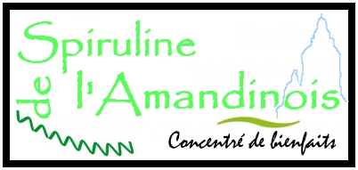 La spiruline de l’Amandinois