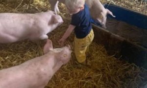 La-ferme-de-Ermitage-3