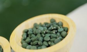 La-spiruline-de-amandinois-5