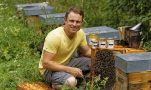 Les-Abeilles-de-lecelles-1