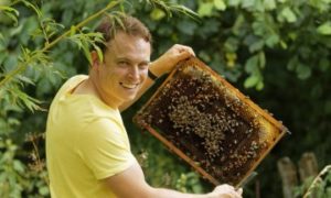 Les-Abeilles-de-lecelles-2