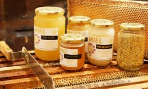 Les-Abeilles-de-lecelles-5