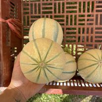 ferme-pigeonnier-photo2